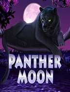 หม น วง ล อ maxbet: ทดลองเล่นไม่ต้องลงทุน